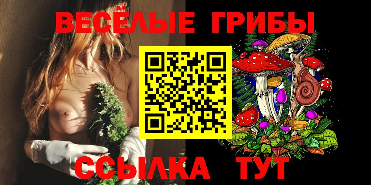 Псилоцибиновые грибы прущие грибы Коркино