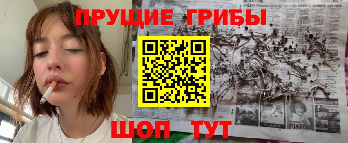 купить наркотики цена  Псилоцибиновые грибы Magic Shrooms  Вход с VPN  Псилоцибиновые грибы ЛСД  Коркино 